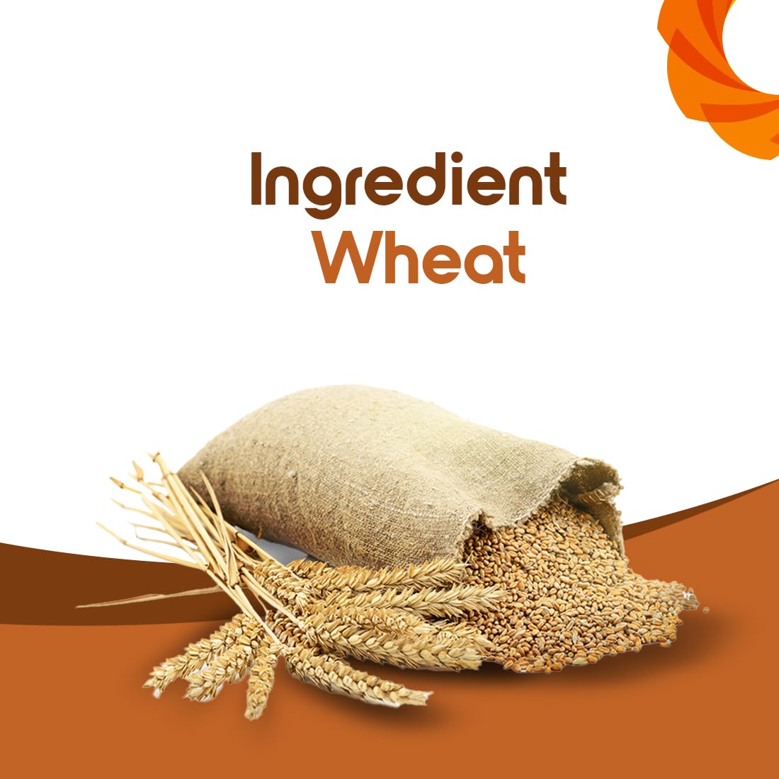 Fortune Chakki Fresh Atta, 10 kg - Soft & Fluffy Rotis