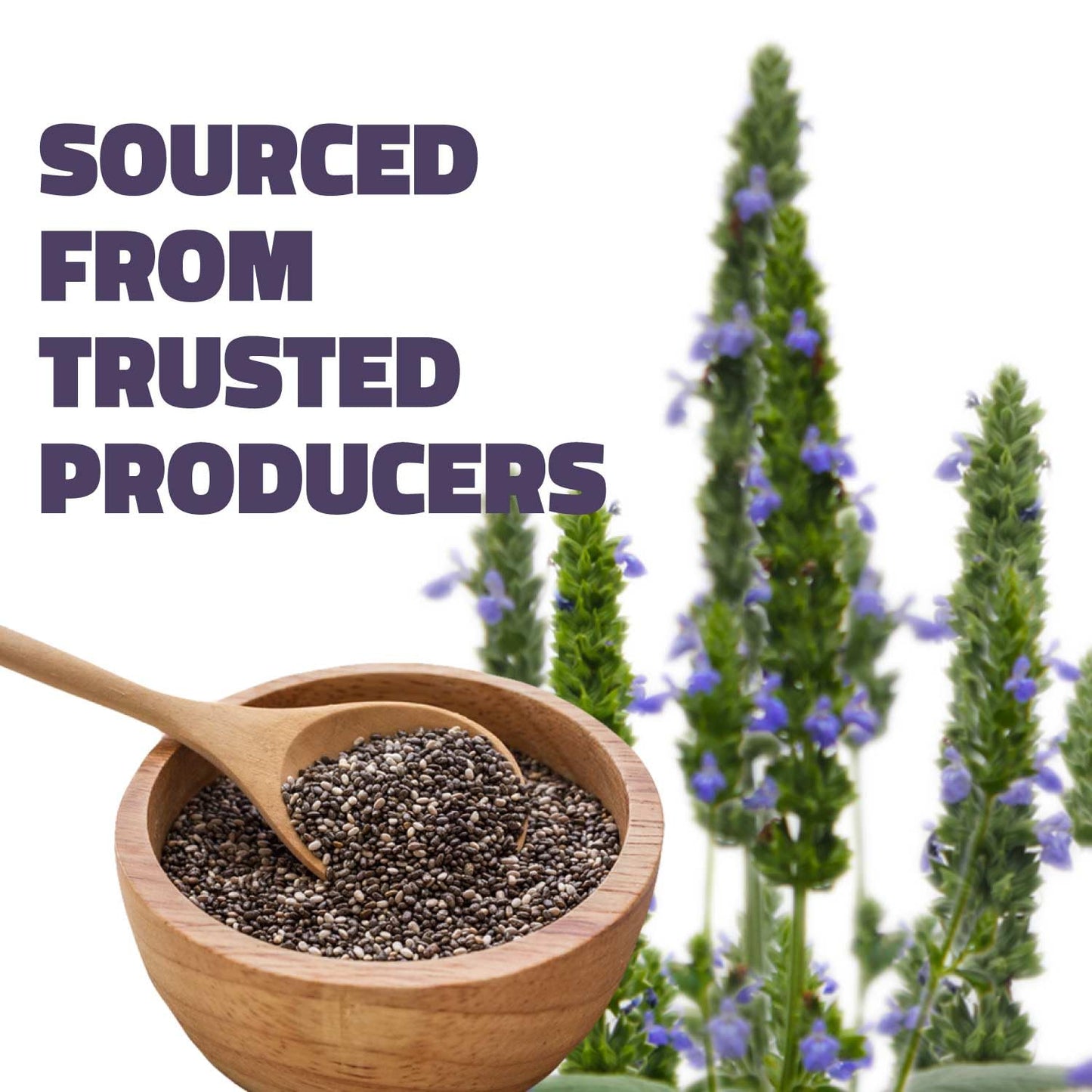 Farmley Chia Seeds 200g | Nutrient-Rich Superfood for Weight Management