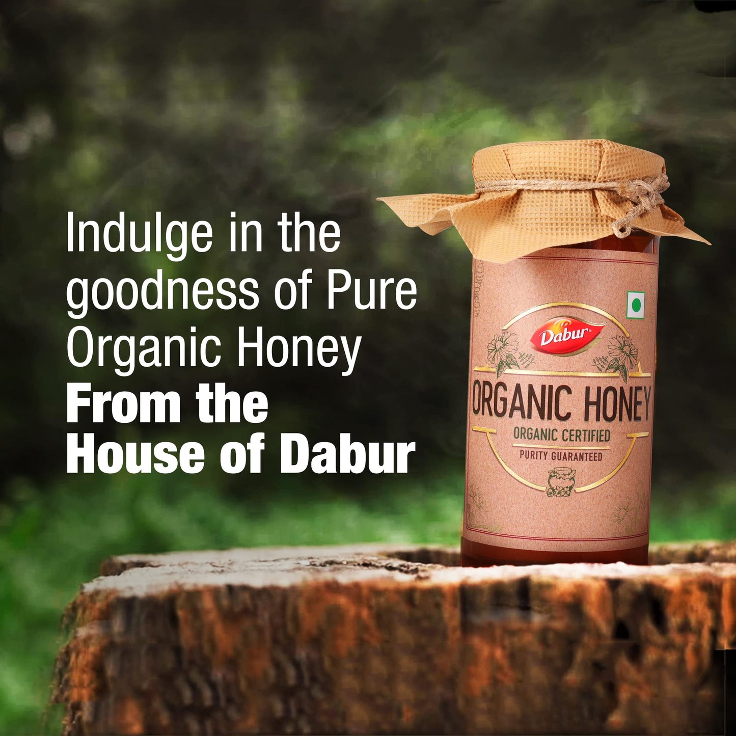 Dabur Organic Honey - 500g | Raw & Unprocessed | NPOP Certified