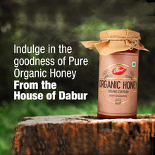 Dabur Organic Honey - 500g | Raw & Unprocessed | NPOP Certified